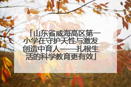 山东省威海高区第一小学在守护天性与激发创造中育人——扎根生活的科学教育更有效
