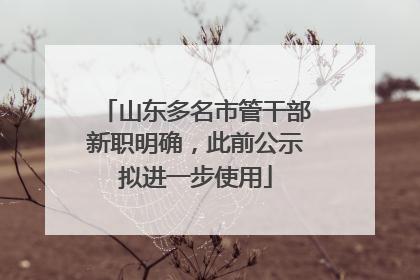 山东多名市管干部新职明确，此前公示拟进一步使用