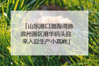 山东港口渤海湾港滨州港区港华码头迎来入夏生产小高峰