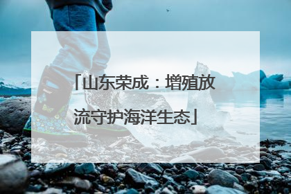 山东荣成：增殖放流守护海洋生态