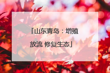 山东青岛：增殖放流 修复生态