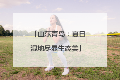 山东青岛：夏日湿地尽显生态美