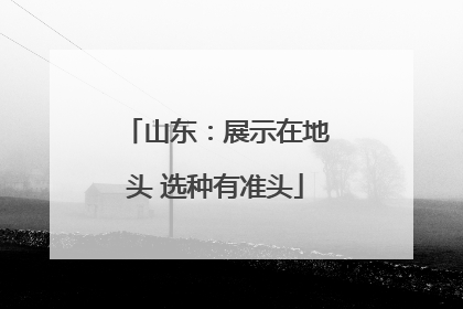 山东：展示在地头 选种有准头