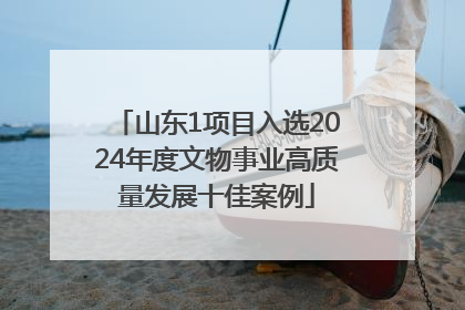 山东1项目入选2024年度文物事业高质量发展十佳案例
