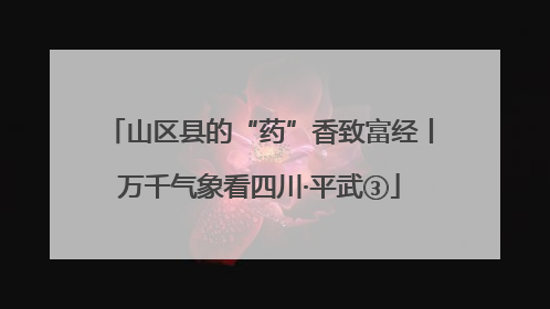 山区县的“药”香致富经丨万千气象看四川·平武③