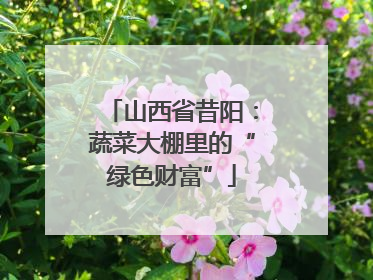 山西省昔阳：蔬菜大棚里的“绿色财富”
