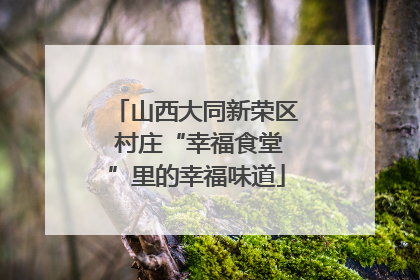 山西大同新荣区 村庄“幸福食堂”里的幸福味道