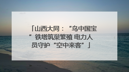 山西大同：“鸟中国宝”铁塔筑巢繁殖 电力人员守护“空中来客”