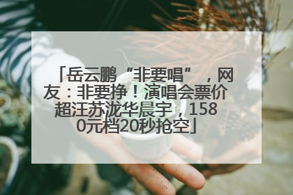 岳云鹏“非要唱”，网友：非要挣！演唱会票价超汪苏泷华晨宇，1580元档20秒抢空