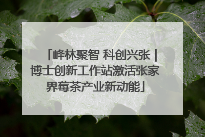 峰林聚智 科创兴张｜博士创新工作站激活张家界莓茶产业新动能