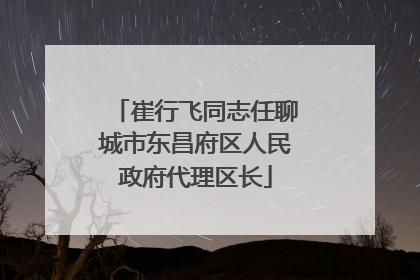 崔行飞同志任聊城市东昌府区人民政府代理区长