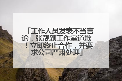 工作人员发表不当言论，张靓颖工作室道歉！立即终止合作，并要求公司严肃处理