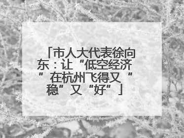 市人大代表徐向东：让“低空经济”在杭州飞得又“稳”又“好”