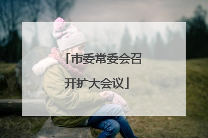 市委常委会召开扩大会议