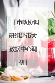 市政协调研组赴市大数据中心调研