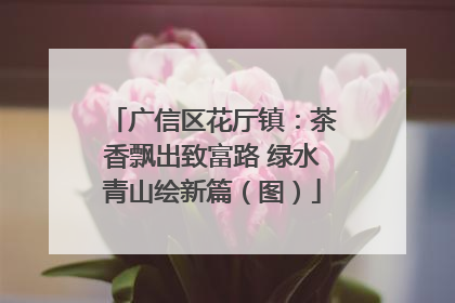 广信区花厅镇：茶香飘出致富路 绿水青山绘新篇（图）