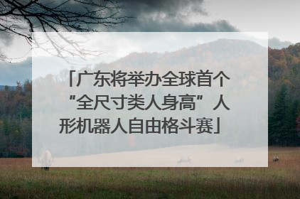 广东将举办全球首个“全尺寸类人身高”人形机器人自由格斗赛