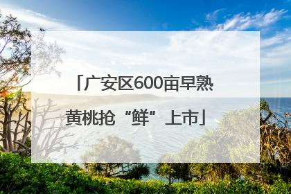 广安区600亩早熟黄桃抢“鲜”上市
