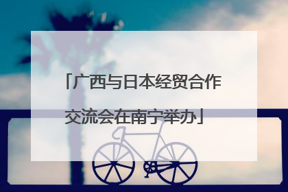 广西与日本经贸合作交流会在南宁举办