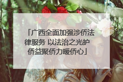 广西全面加强涉侨法律服务 以法治之光护侨益聚侨力暖侨心