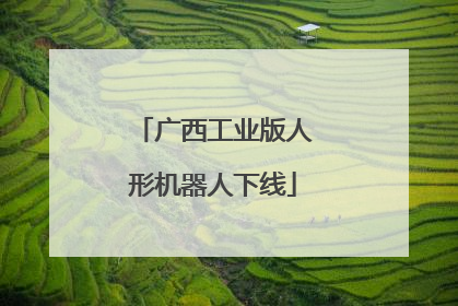 广西工业版人形机器人下线