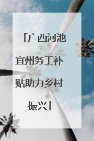 广西河池宜州务工补贴助力乡村振兴