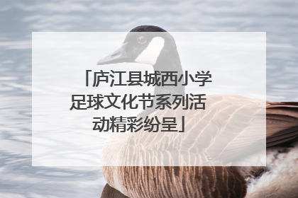 庐江县城西小学足球文化节系列活动精彩纷呈