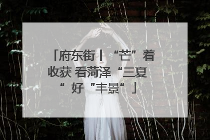 府东街丨“芒”着收获 看菏泽“三夏”好“丰景”
