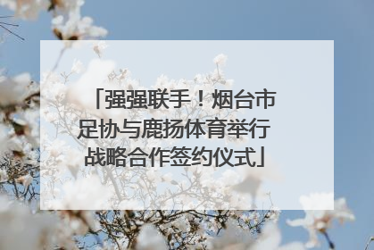 强强联手！烟台市足协与鹿扬体育举行战略合作签约仪式