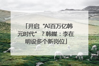 开启“AI百万亿韩元时代”？韩媒：李在明设多个新岗位