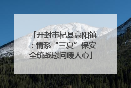 开封市杞县高阳镇：情系“三夏”保安全统战慰问暖人心