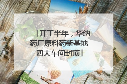 开工半年，华纳药厂原料药新基地四大车间封顶