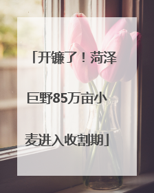开镰了！菏泽巨野85万亩小麦进入收割期