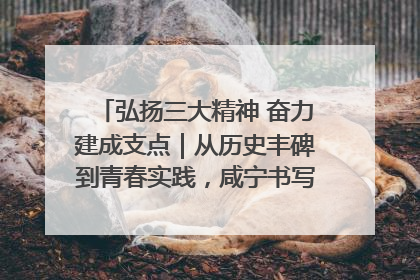 弘扬三大精神 奋力建成支点｜从历史丰碑到青春实践，咸宁书写精神传承新篇章