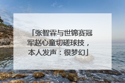 张智霖与世锦赛冠军赵心童切磋球技，本人发声：很梦幻