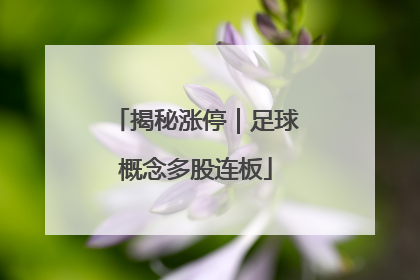 揭秘涨停｜足球概念多股连板