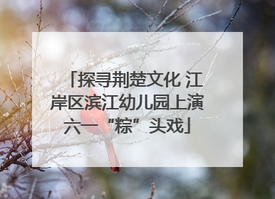探寻荆楚文化 江岸区滨江幼儿园上演六一“粽”头戏