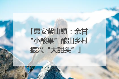 惠安紫山镇：余甘“小酸果”酿出乡村振兴“大甜头”