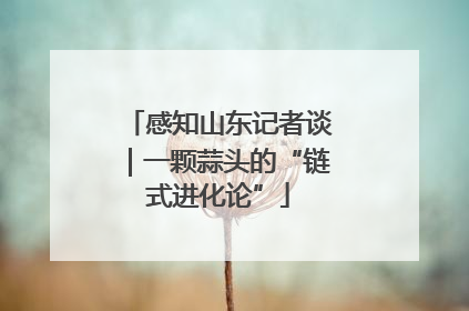 感知山东记者谈｜一颗蒜头的“链式进化论”