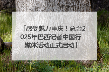 感受魅力重庆！总台2025年巴西记者中国行媒体活动正式启动