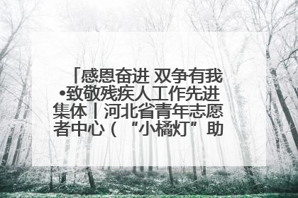感恩奋进 双争有我•致敬残疾人工作先进集体丨河北省青年志愿者中心（“小橘灯”助残接力计划实施团队）：用温暖陪伴，守护特殊孩子成长