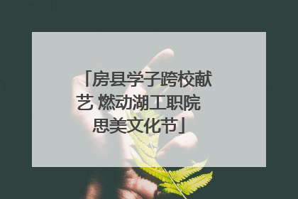 房县学子跨校献艺 燃动湖工职院思美文化节