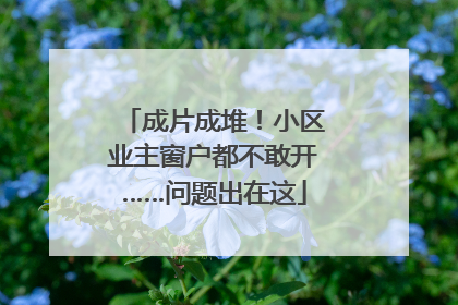成片成堆！小区业主窗户都不敢开……问题出在这