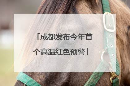成都发布今年首个高温红色预警