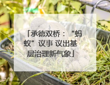 承德双桥：“蚂蚁”议事 议出基层治理新气象