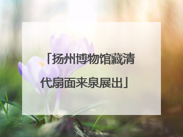 扬州博物馆藏清代扇面来泉展出