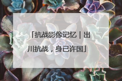 抗战影像记忆｜出川抗战，身已许国