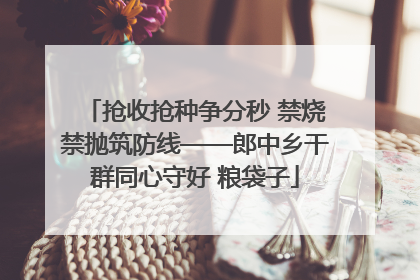 抢收抢种争分秒 禁烧禁抛筑防线——郎中乡干群同心守好 粮袋子