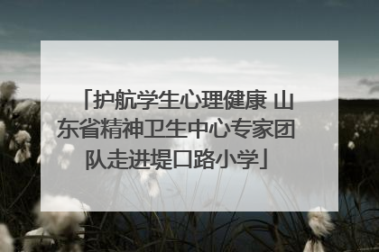 护航学生心理健康 山东省精神卫生中心专家团队走进堤口路小学