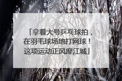 拿着大号乒乓球拍，在羽毛球场地打网球！这项运动正风靡江城
